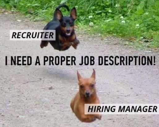 recruiters memes