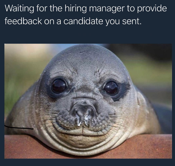 recruiting memes 2022