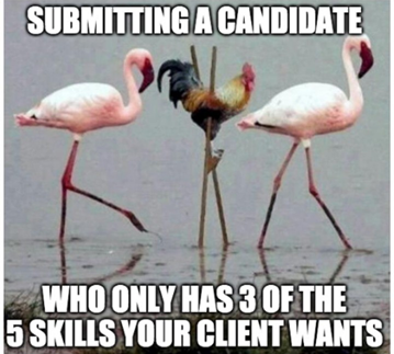 memes for recruiters